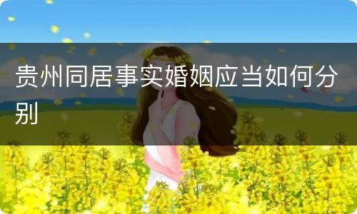 贵州同居事实婚姻应当如何分别