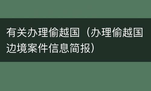有关办理偷越国（办理偷越国边境案件信息简报）