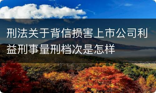 刑法关于背信损害上市公司利益刑事量刑档次是怎样