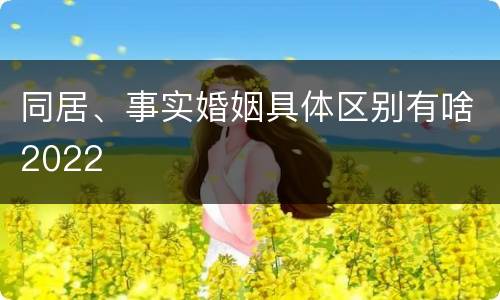 同居、事实婚姻具体区别有啥2022