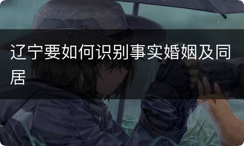 辽宁要如何识别事实婚姻及同居