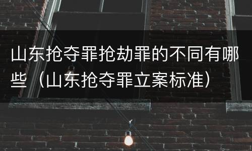 山东抢夺罪抢劫罪的不同有哪些（山东抢夺罪立案标准）