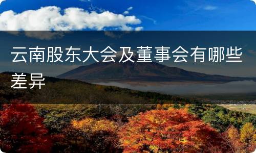 云南股东大会及董事会有哪些差异