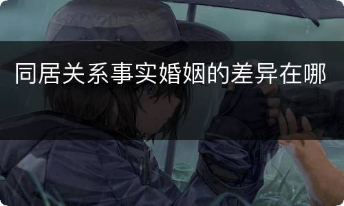 同居关系事实婚姻的差异在哪