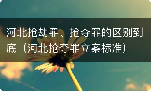 河北抢劫罪、抢夺罪的区别到底（河北抢夺罪立案标准）
