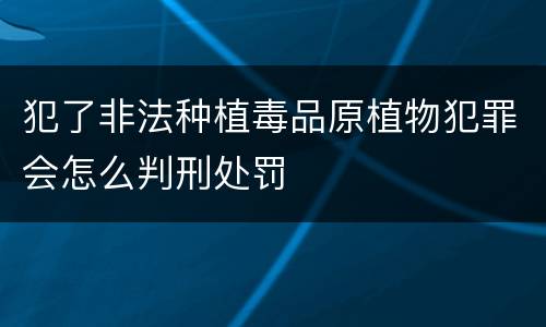 犯了非法种植毒品原植物犯罪会怎么判刑处罚