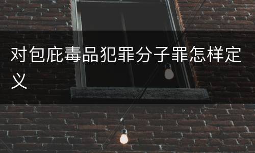 对包庇毒品犯罪分子罪怎样定义