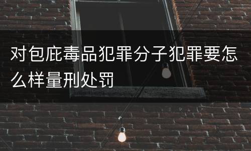 对包庇毒品犯罪分子犯罪要怎么样量刑处罚