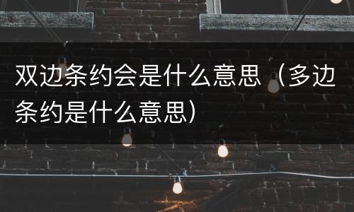 双边条约会是什么意思（多边条约是什么意思）