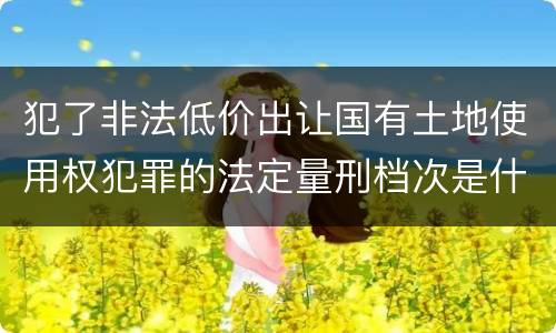 犯了非法低价出让国有土地使用权犯罪的法定量刑档次是什么