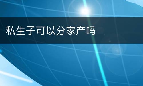 私生子可以分家产吗