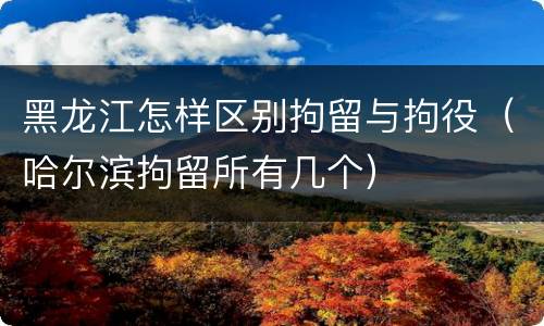 黑龙江怎样区别拘留与拘役（哈尔滨拘留所有几个）