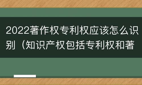 2022著作权专利权应该怎么识别（知识产权包括专利权和著作权吗）