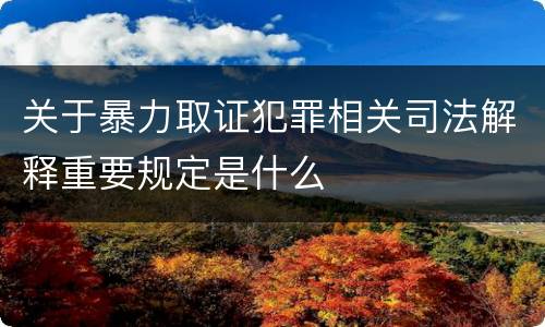 关于暴力取证犯罪相关司法解释重要规定是什么