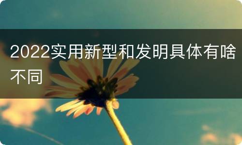 2022实用新型和发明具体有啥不同