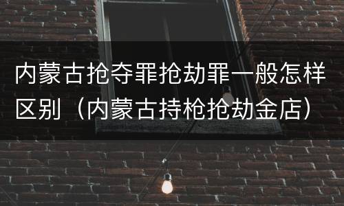 内蒙古抢夺罪抢劫罪一般怎样区别（内蒙古持枪抢劫金店）