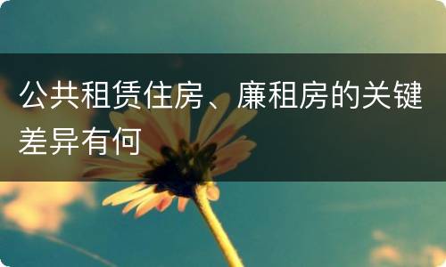 公共租赁住房、廉租房的关键差异有何