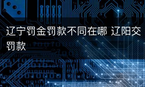 辽宁罚金罚款不同在哪 辽阳交罚款