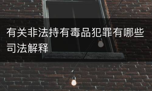 有关非法持有毒品犯罪有哪些司法解释