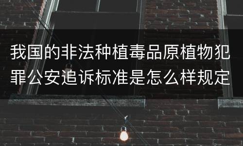我国的非法种植毒品原植物犯罪公安追诉标准是怎么样规定