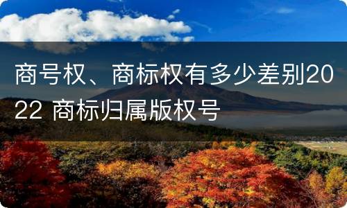 商号权、商标权有多少差别2022 商标归属版权号