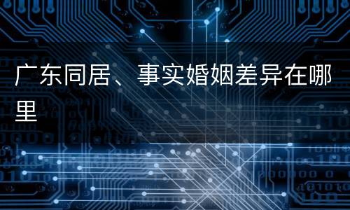 广东同居、事实婚姻差异在哪里