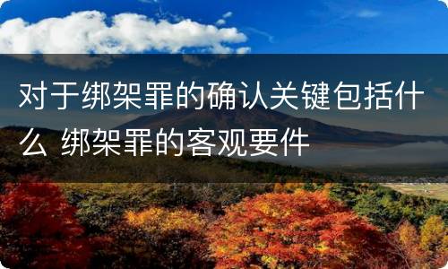对于绑架罪的确认关键包括什么 绑架罪的客观要件