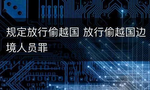 规定放行偷越国 放行偷越国边境人员罪