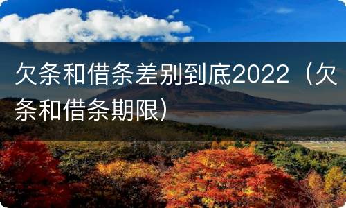 欠条和借条差别到底2022（欠条和借条期限）