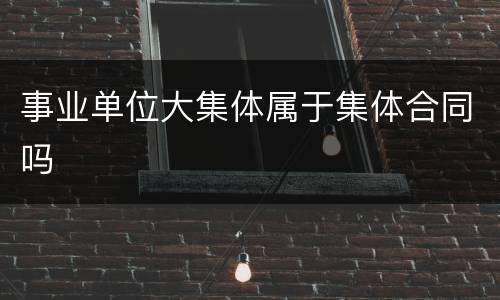 事业单位大集体属于集体合同吗