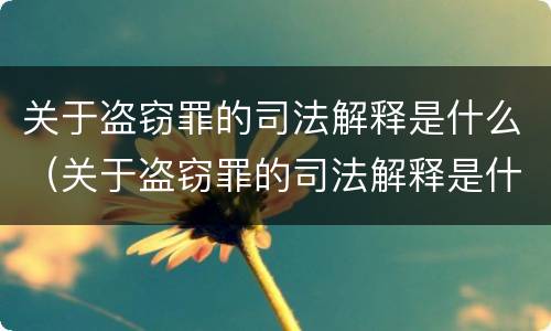 关于盗窃罪的司法解释是什么（关于盗窃罪的司法解释是什么规定）