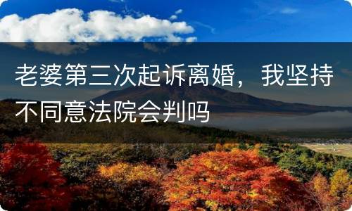 老婆第三次起诉离婚，我坚持不同意法院会判吗