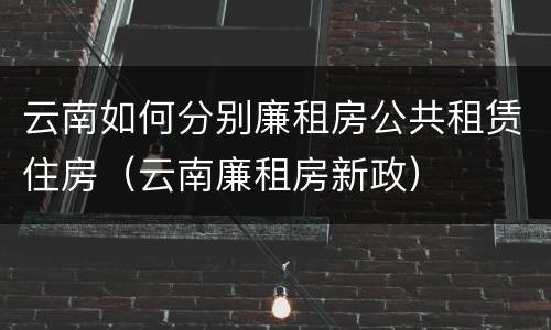 云南如何分别廉租房公共租赁住房（云南廉租房新政）