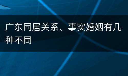广东同居关系、事实婚姻有几种不同