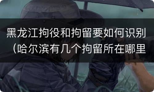 黑龙江拘役和拘留要如何识别（哈尔滨有几个拘留所在哪里）