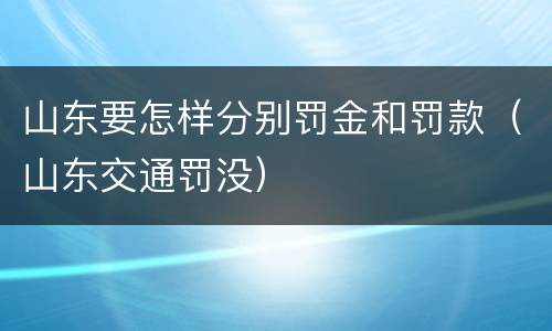 山东要怎样分别罚金和罚款（山东交通罚没）