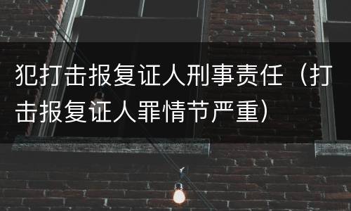 犯打击报复证人刑事责任（打击报复证人罪情节严重）