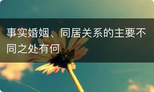 事实婚姻、同居关系的主要不同之处有何