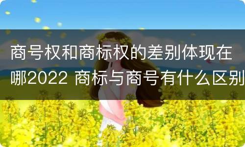 商号权和商标权的差别体现在哪2022 商标与商号有什么区别