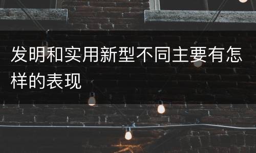 发明和实用新型不同主要有怎样的表现