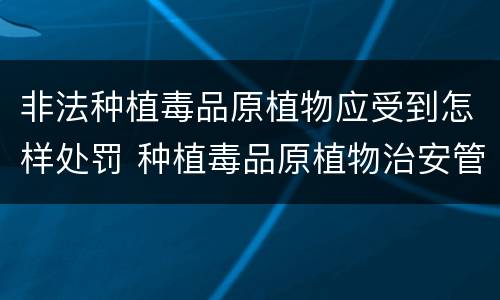 非法种植毒品原植物应受到怎样处罚 种植毒品原植物治安管理处罚法