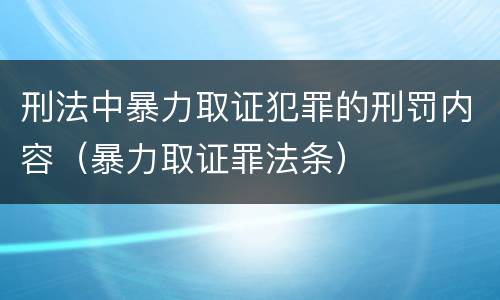 刑法中暴力取证犯罪的刑罚内容（暴力取证罪法条）