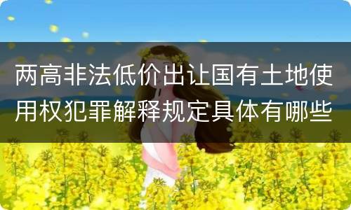 两高非法低价出让国有土地使用权犯罪解释规定具体有哪些主要内容