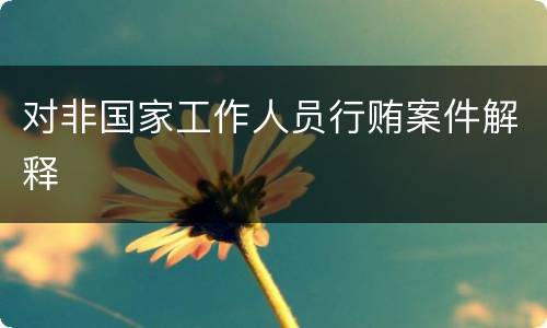对非国家工作人员行贿案件解释