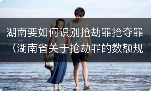 湖南要如何识别抢劫罪抢夺罪（湖南省关于抢劫罪的数额规定）
