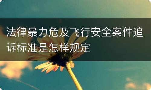 法律暴力危及飞行安全案件追诉标准是怎样规定