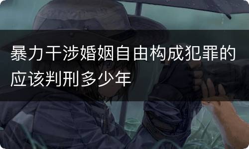 暴力干涉婚姻自由构成犯罪的应该判刑多少年
