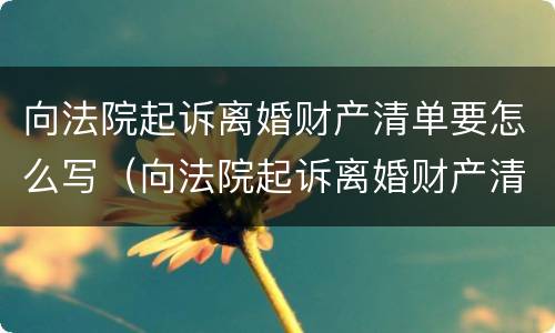 向法院起诉离婚财产清单要怎么写（向法院起诉离婚财产清单要怎么写呢）
