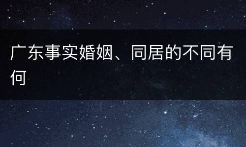 广东事实婚姻、同居的不同有何