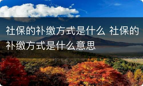 社保的补缴方式是什么 社保的补缴方式是什么意思